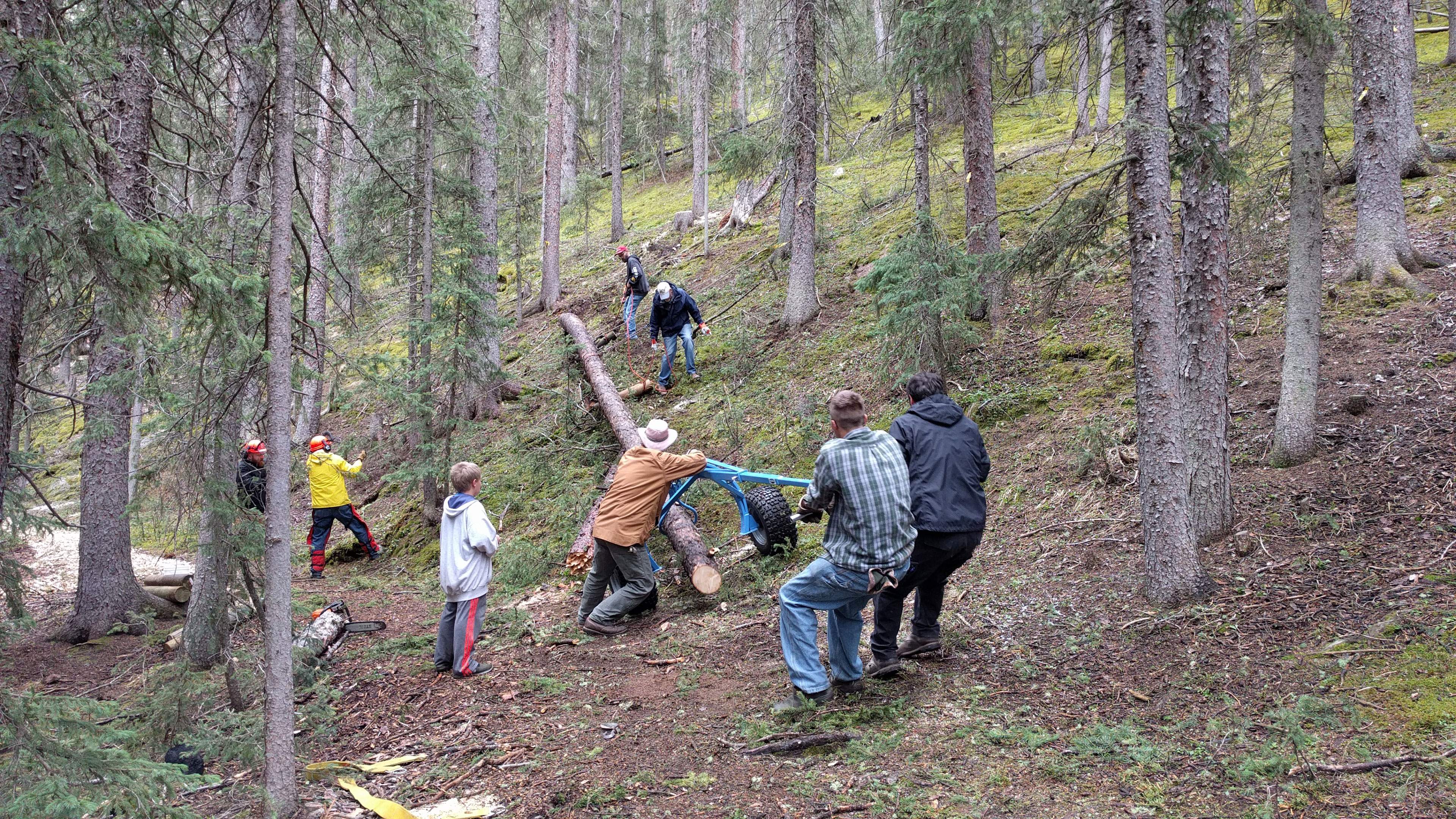 Volunteers moving tree trunk