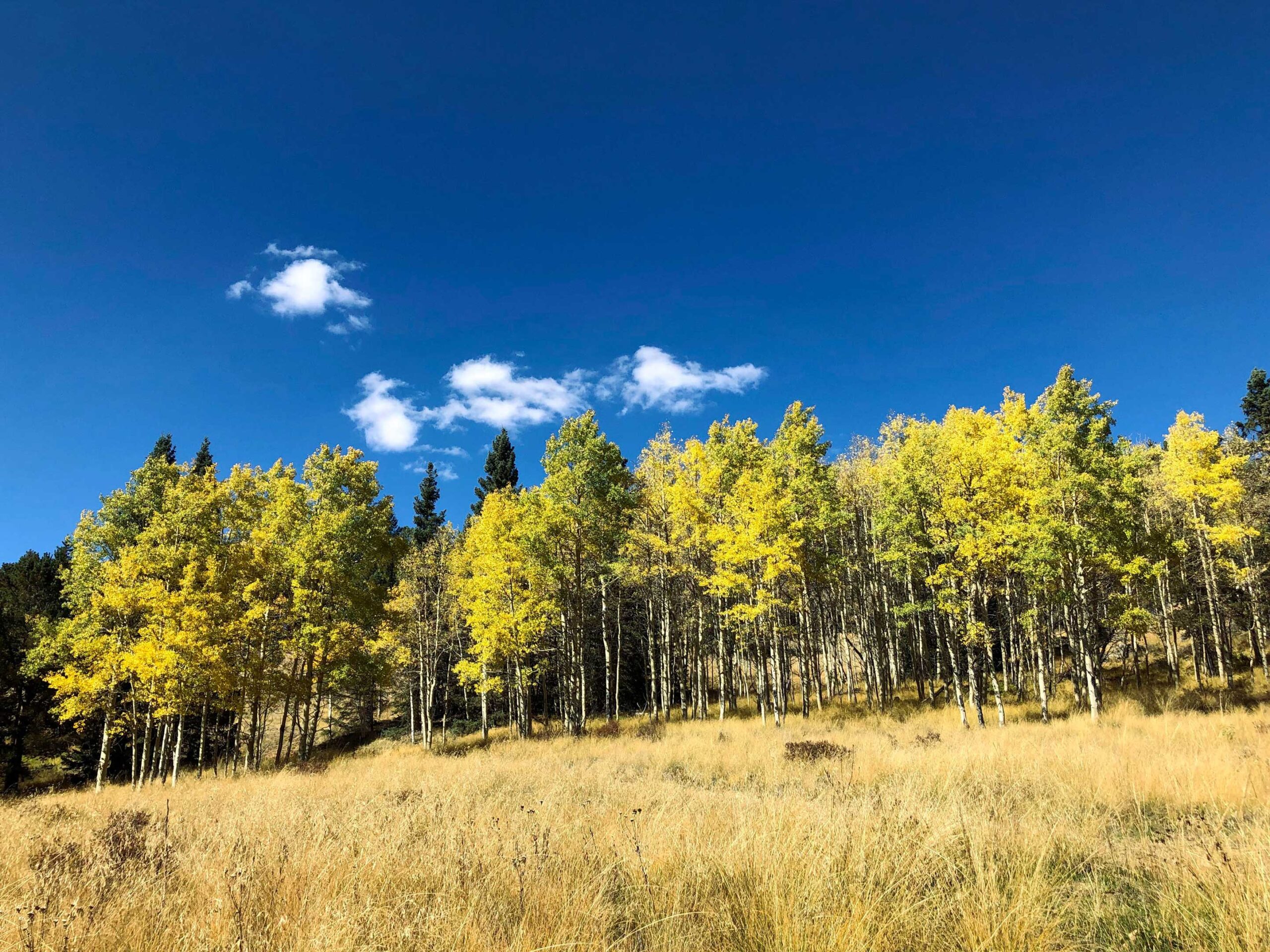 fall-header-1