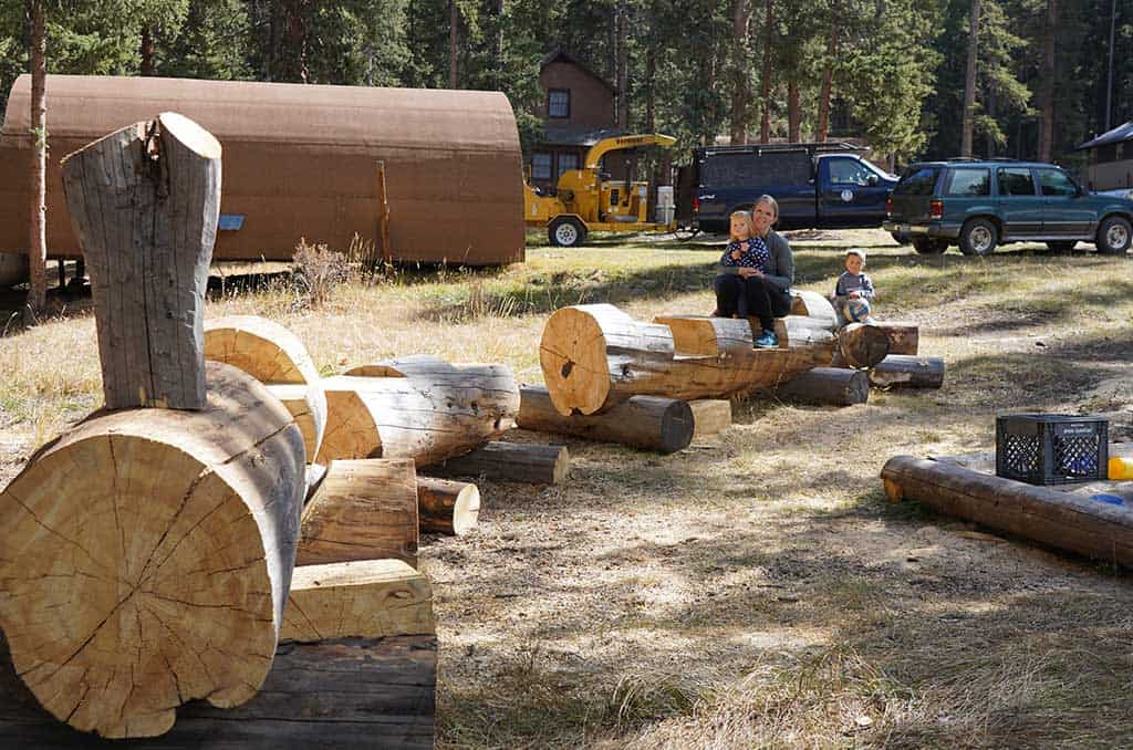 1024x678-Log-Train Activities page