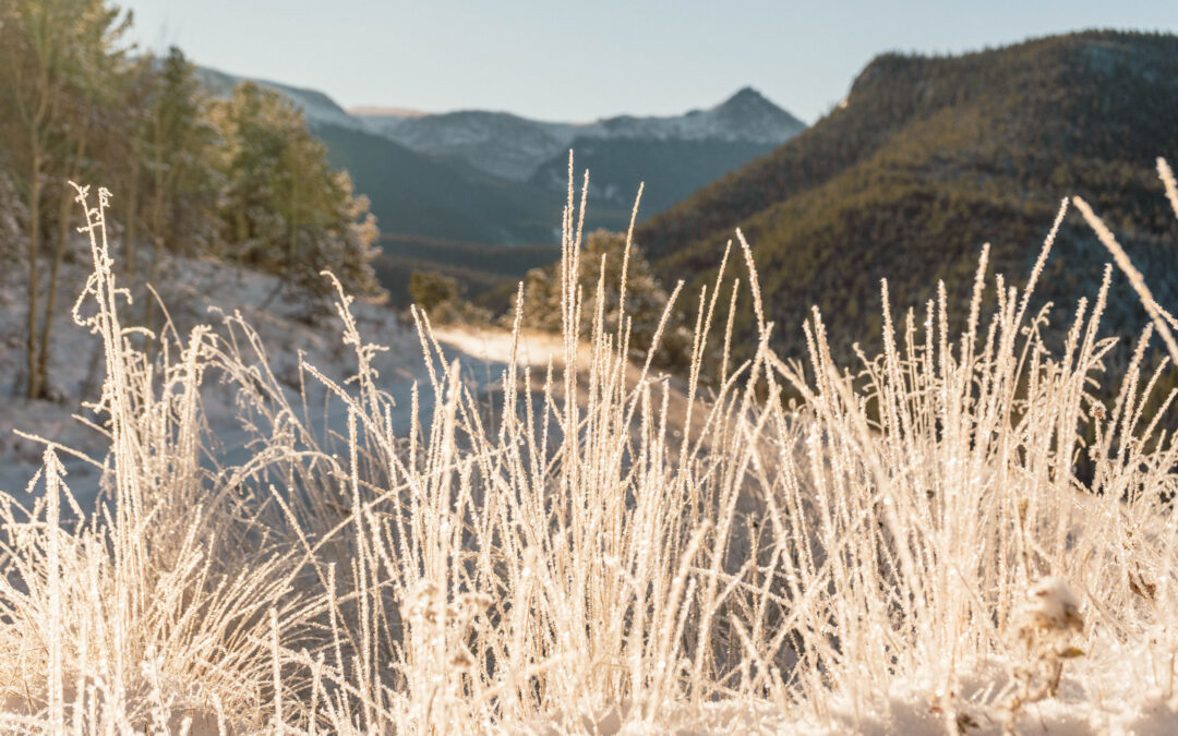 First Winter Season Snow