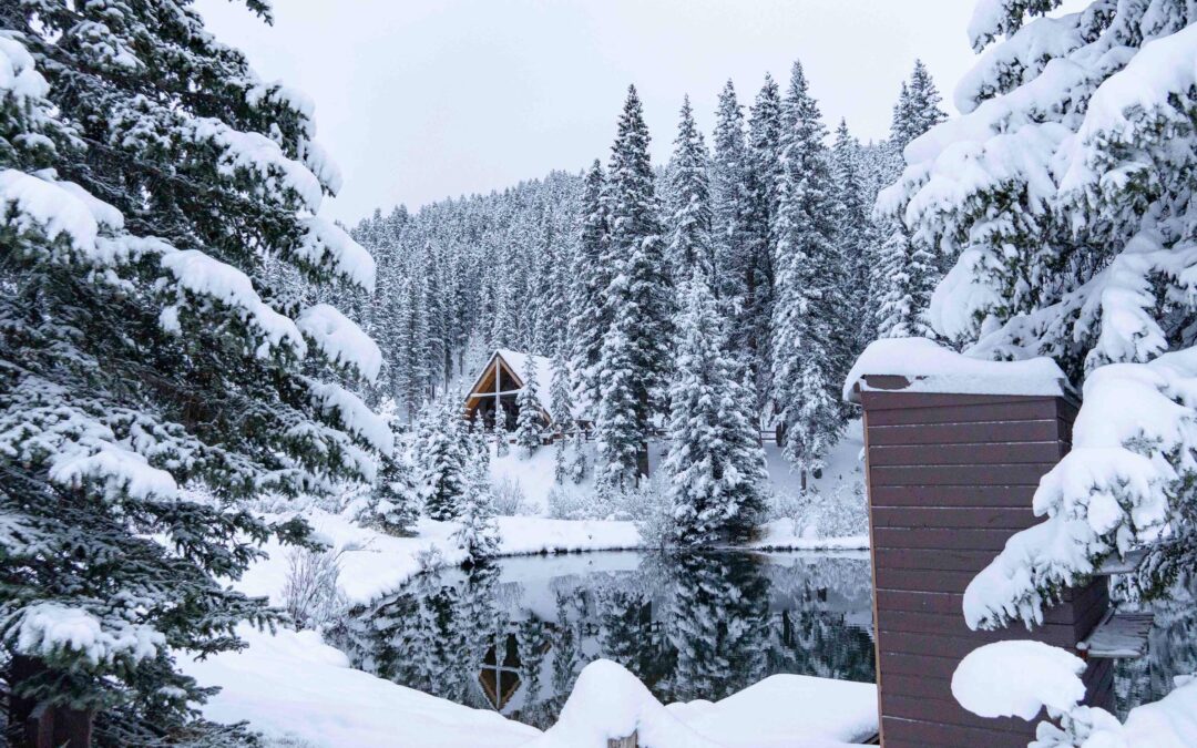 Much needed SNOW!